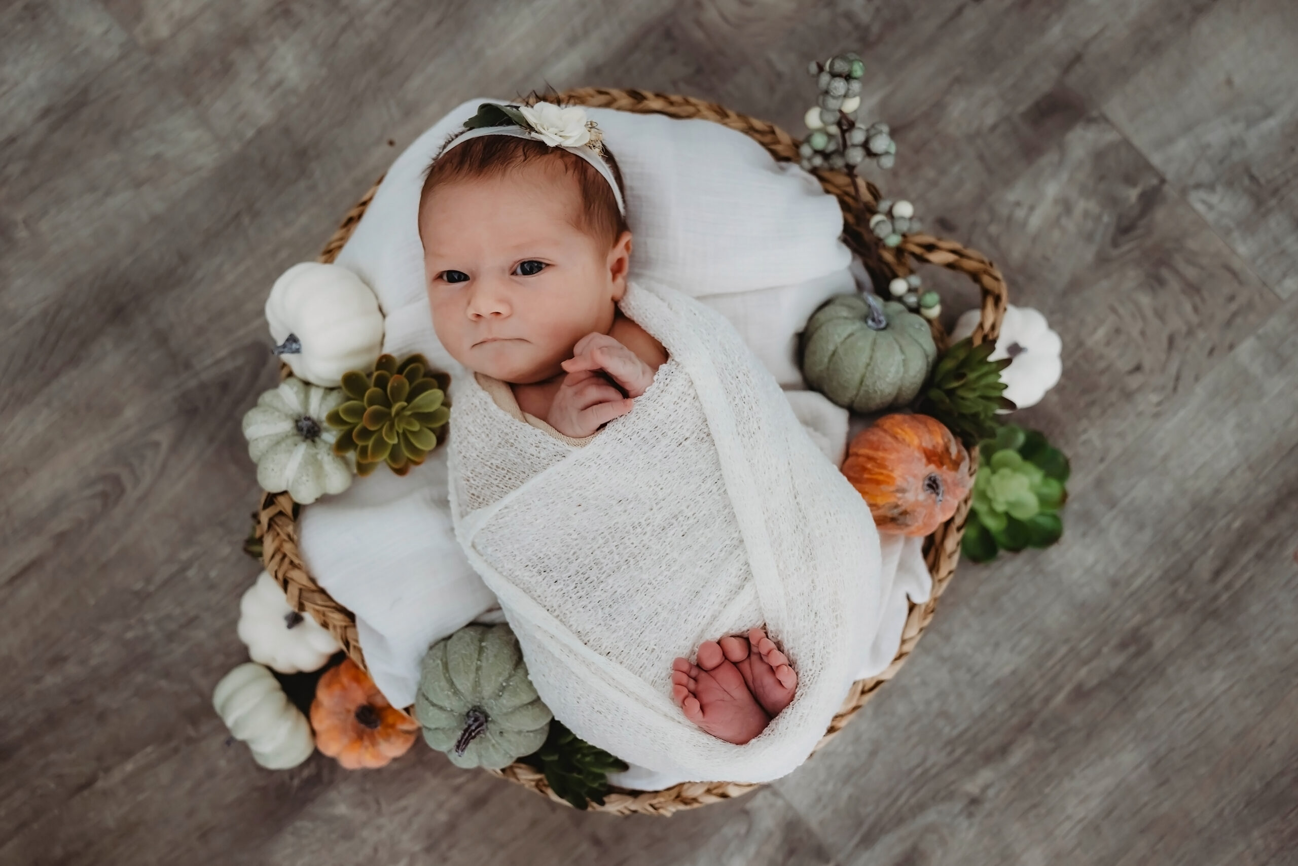 Emiliah NEW BABY Session (1)