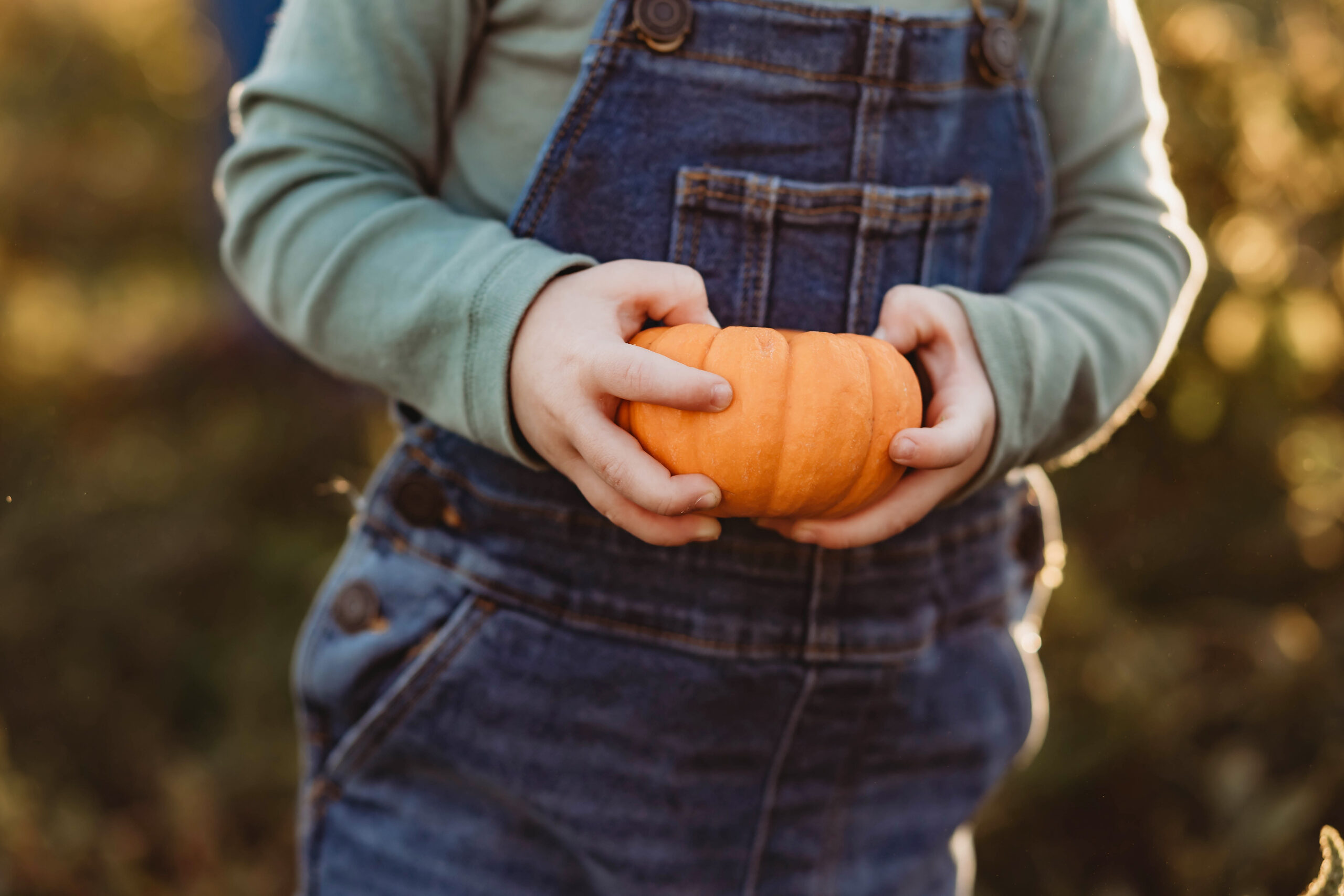 Pumpkin-Patch-48-scaled.jpg