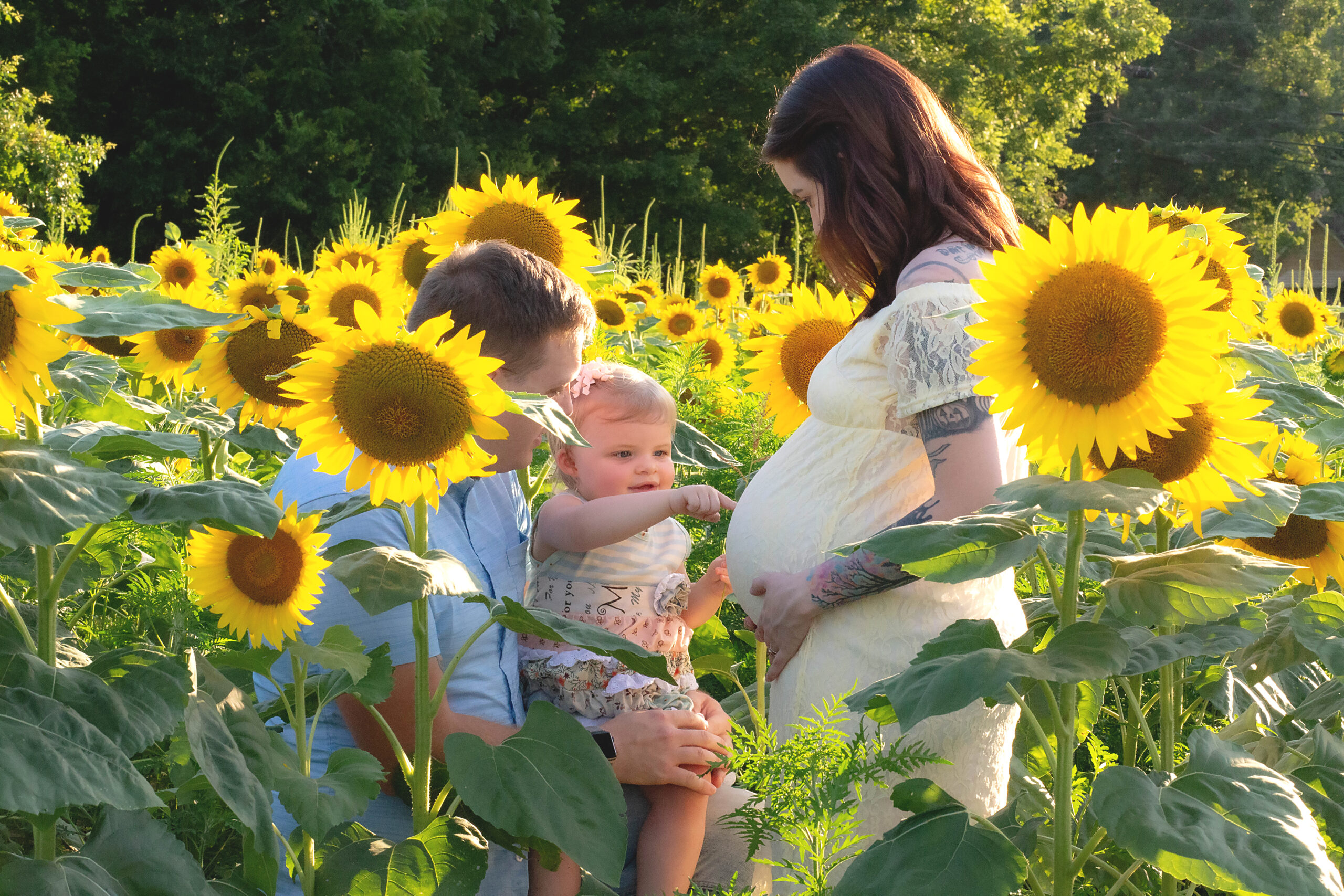 Sunflower Session (2)