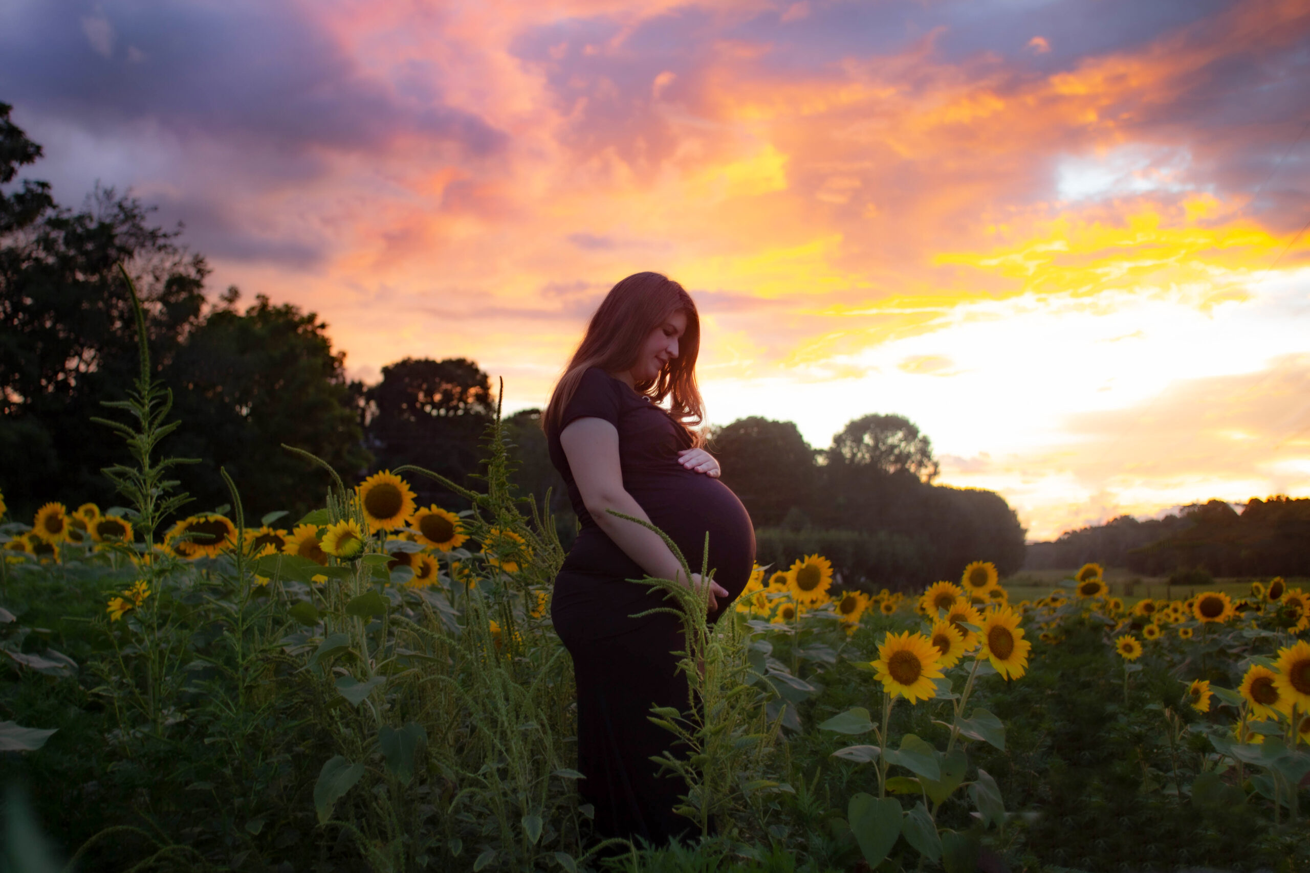 Sunflower Session (33)