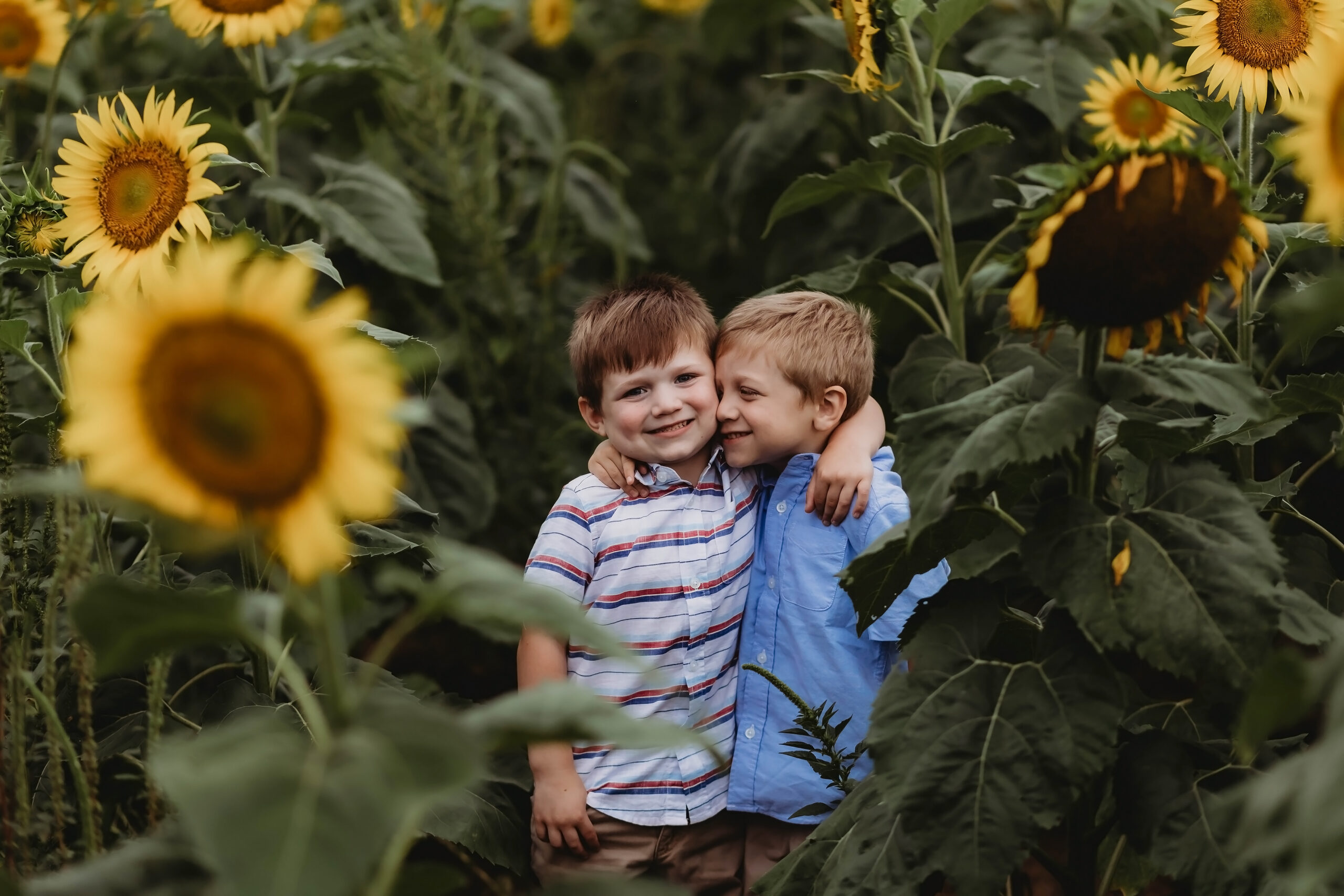 Sunflower-Session-9-scaled.jpg